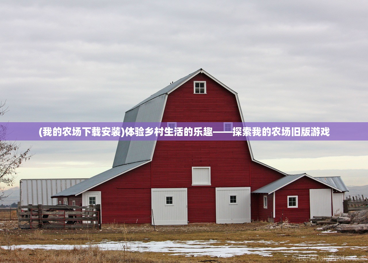 最强潮玩团5-11攻略，全方位解析挑战难点，轻松通关指南！