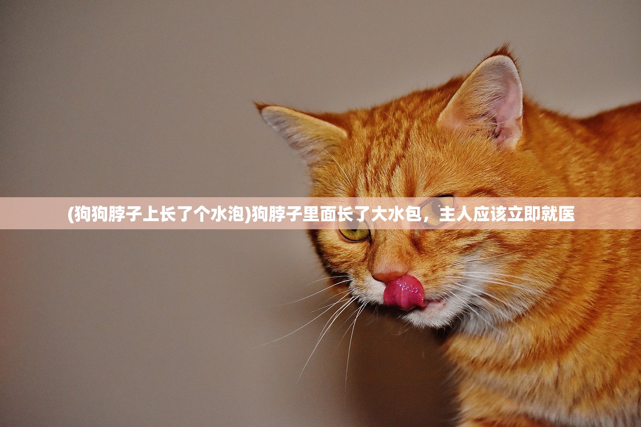 (战斗之争)战斗之巅，揭秘军事竞技领域的巅峰对决与未来趋势