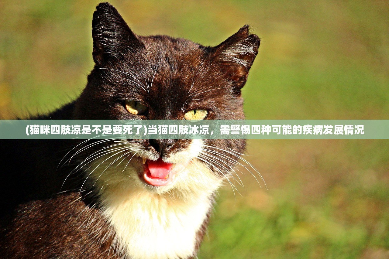 (烈焰王座传奇手游官网)烈焰王座传奇手游，燃情探险，重温经典，揭秘游戏魅力与玩家热议焦点