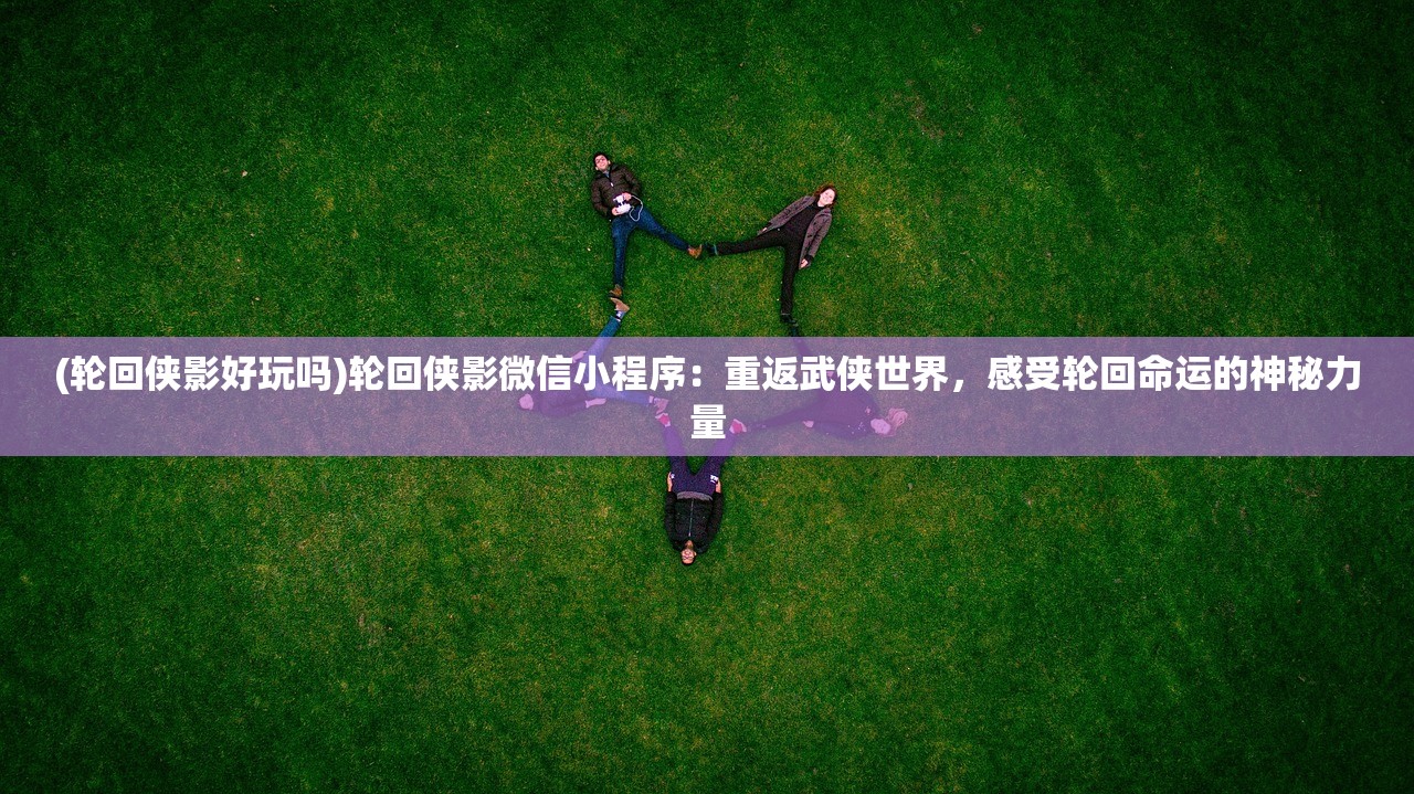 (神秘的布偶)布偶的梦，揭秘布偶猫的秘密成就与独特魅力