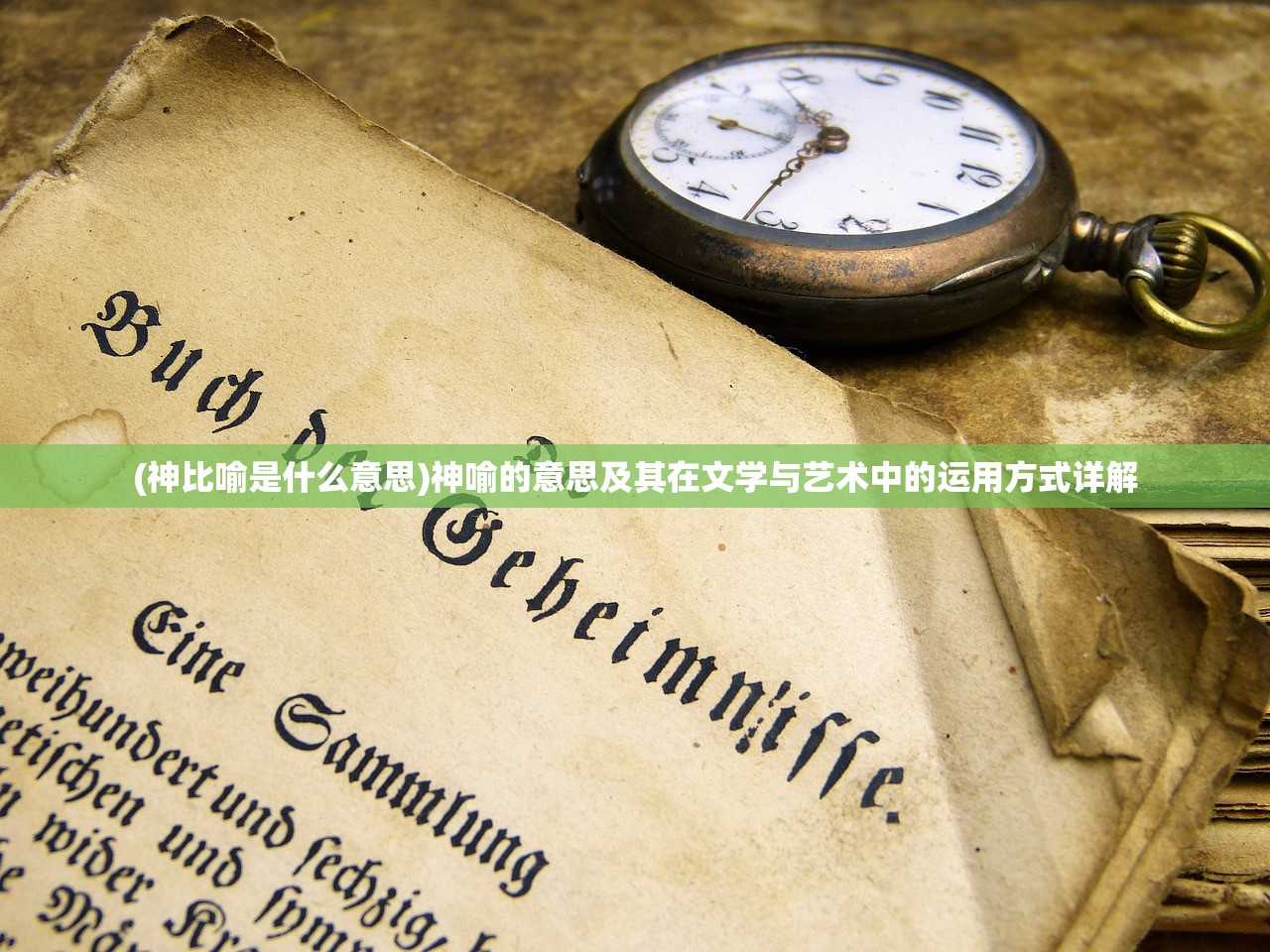 (废柴物语无限金币版)废柴物语，揭秘动画下架背后的真相与影响