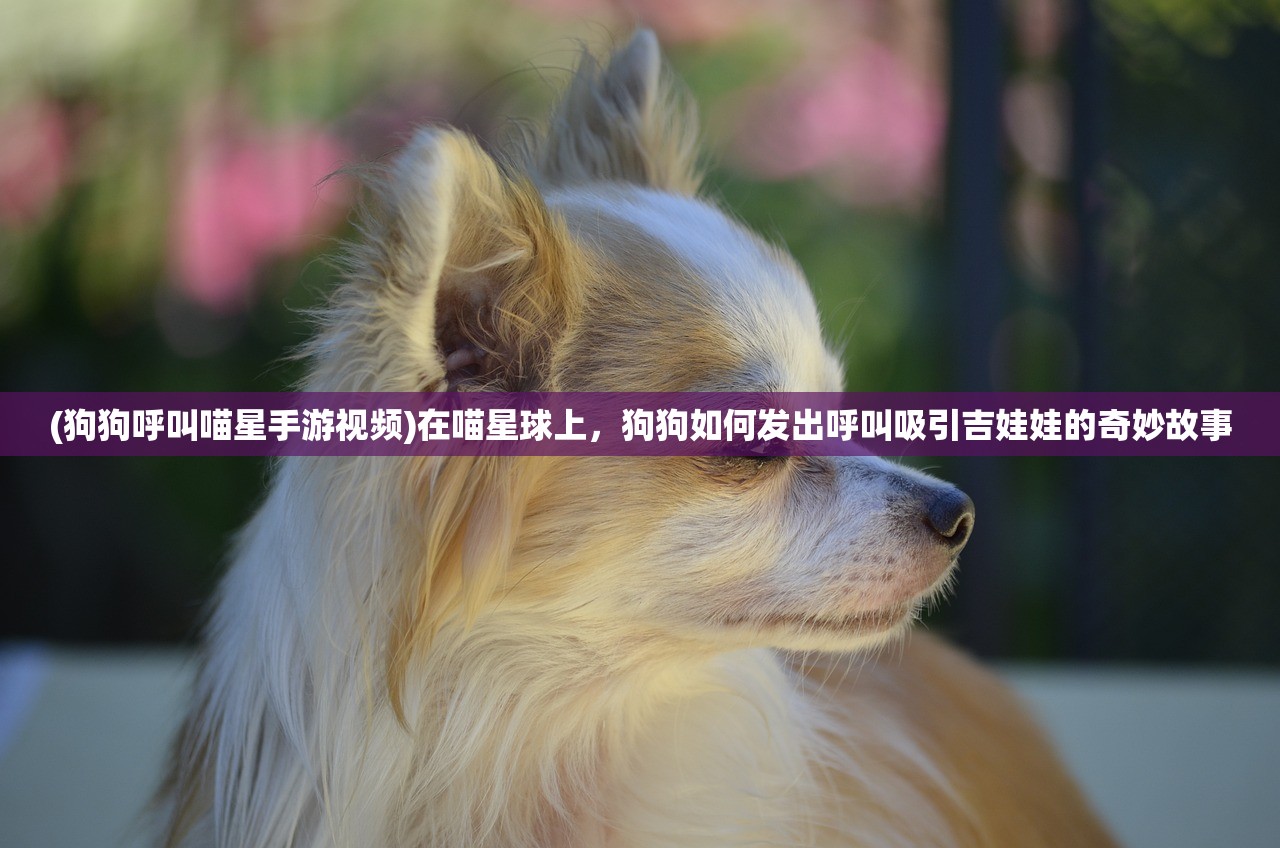 (战途thaty)战途王者免广告代码深度解析，畅享无广告游戏体验的秘诀与问题解答