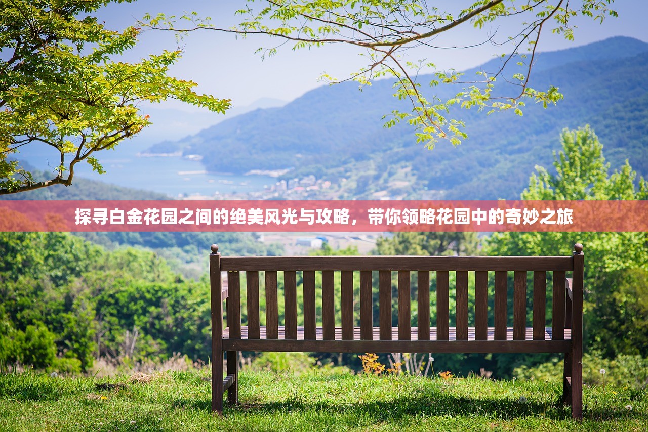 (权御之战官方网站)权御之战，揭秘中国古代军事争霸的巅峰对决——百度百科深度解析