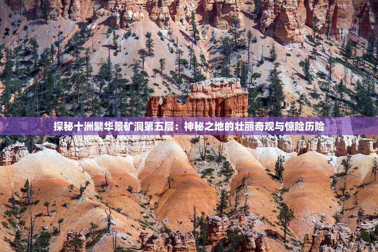 乱世王者体验服深度解析，揭秘全新战场的王者之路与常见疑问解答