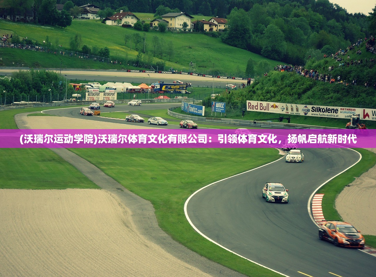 (金属对决技能表)金属对决金武龙，一场跨时代武林的巅峰对决解析与展望