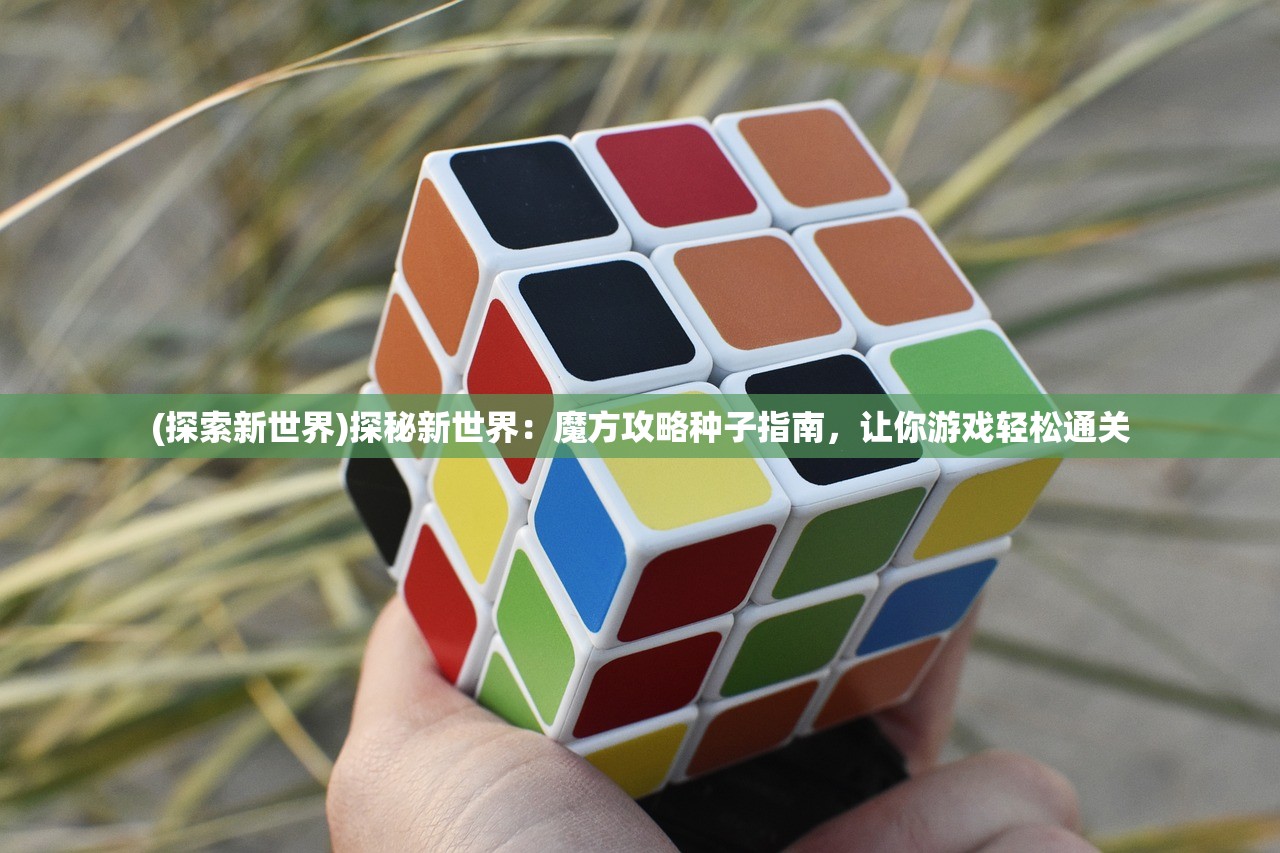 (好玩的电脑游戏低配置)Steam平台盘点，十大好玩的电脑游戏，带你畅游虚拟世界！