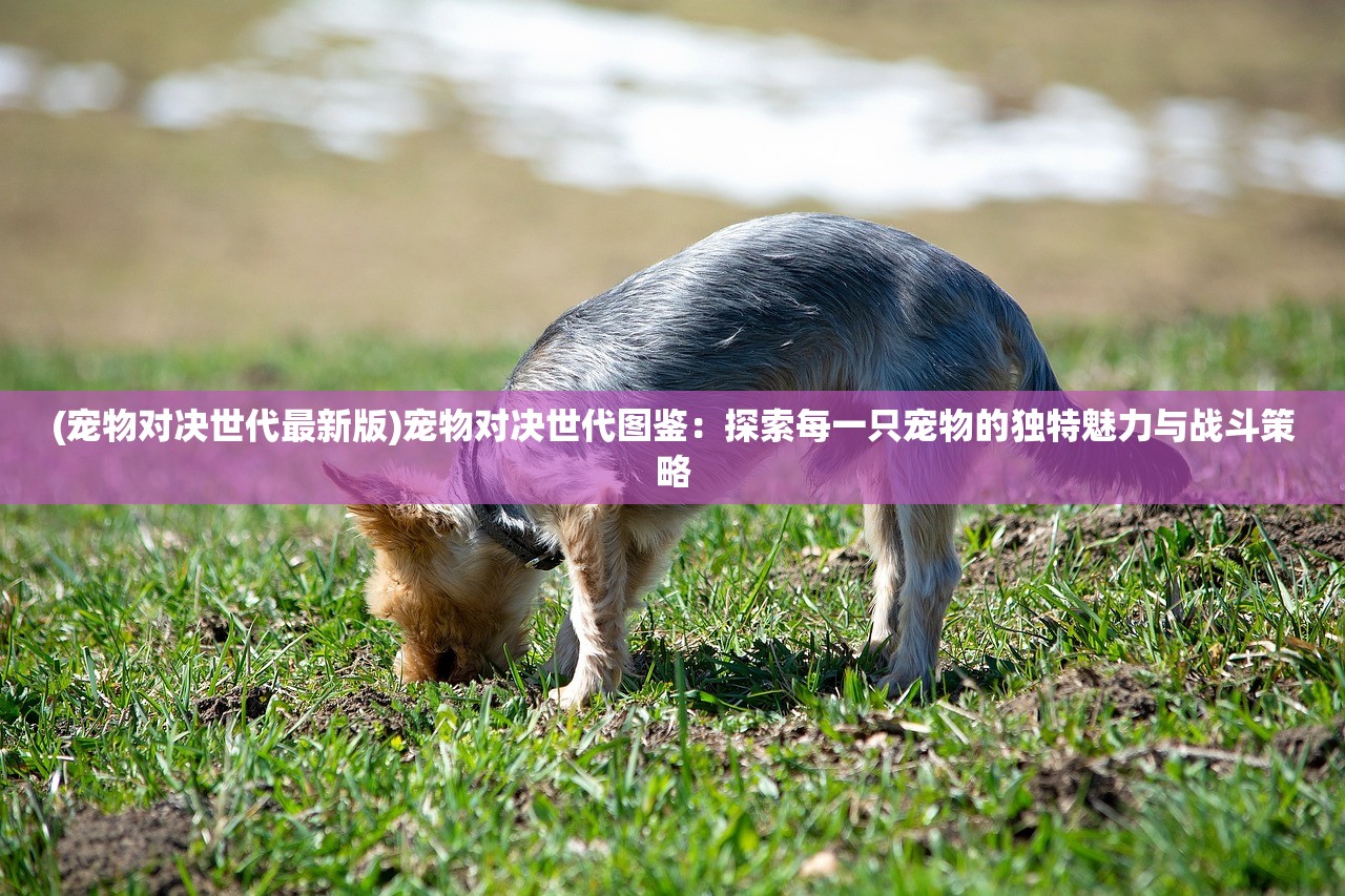 (唐门六道h5内购游戏)唐门六道H5，探秘古代神秘门派，数字解密江湖传奇世界