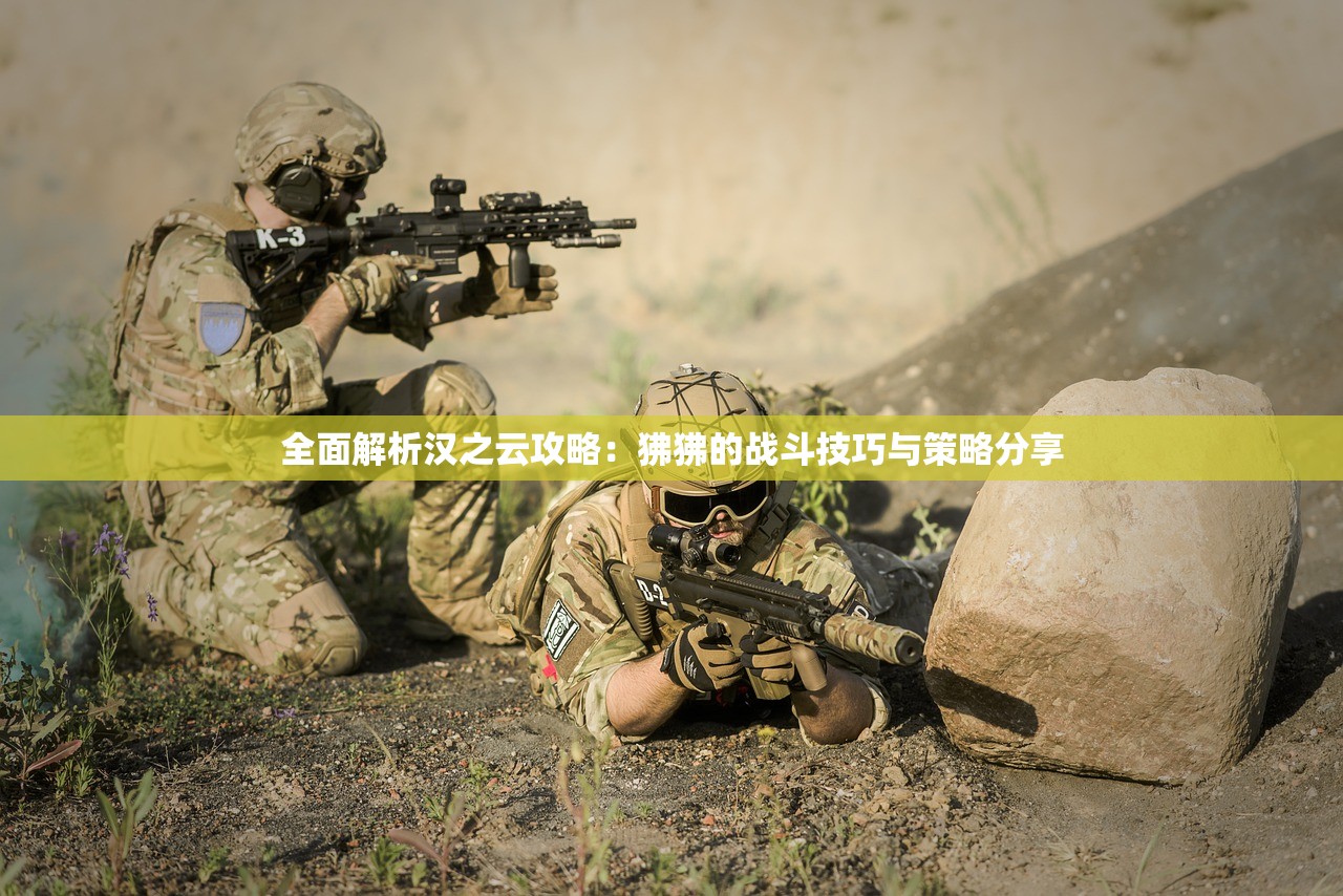 (黑衣小队第二季在线观看)黑衣小队第二季，揭秘神秘组织背后的故事与谜团