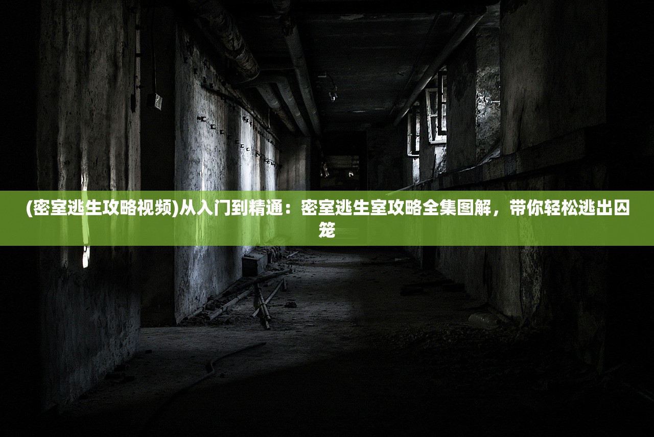 (拳愿阿修罗第二季)拳愿阿修罗，探索虚拟格斗世界的魅力与争议