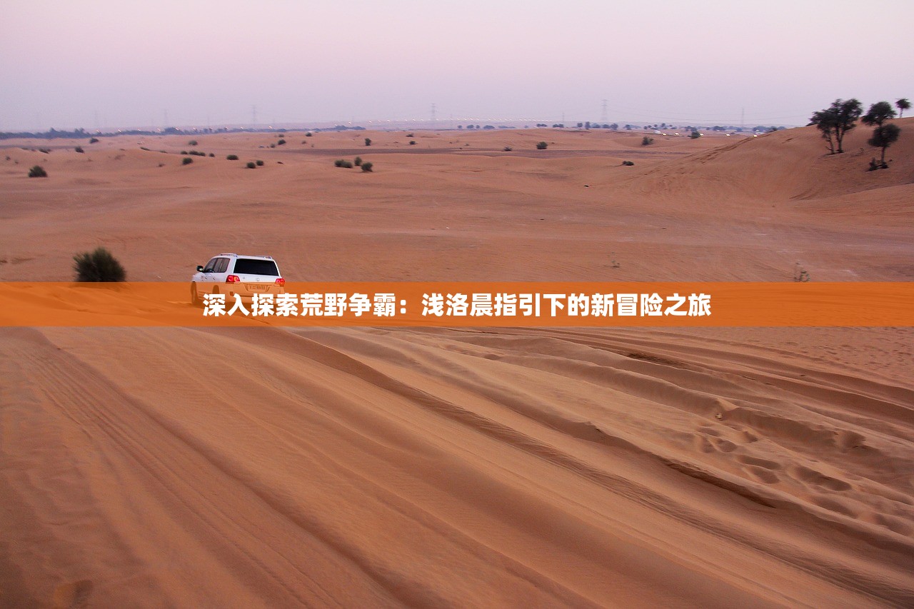 (王者荣耀铁拳是哪个英雄)王者铁拳出招表深度解析，招式技巧与实战应用探讨