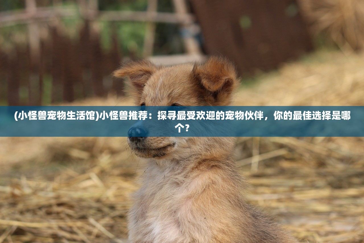 (完美红颜攻略汇总)玩转完美红颜手游，攻略大揭秘！助你成为游戏界的红颜主宰！