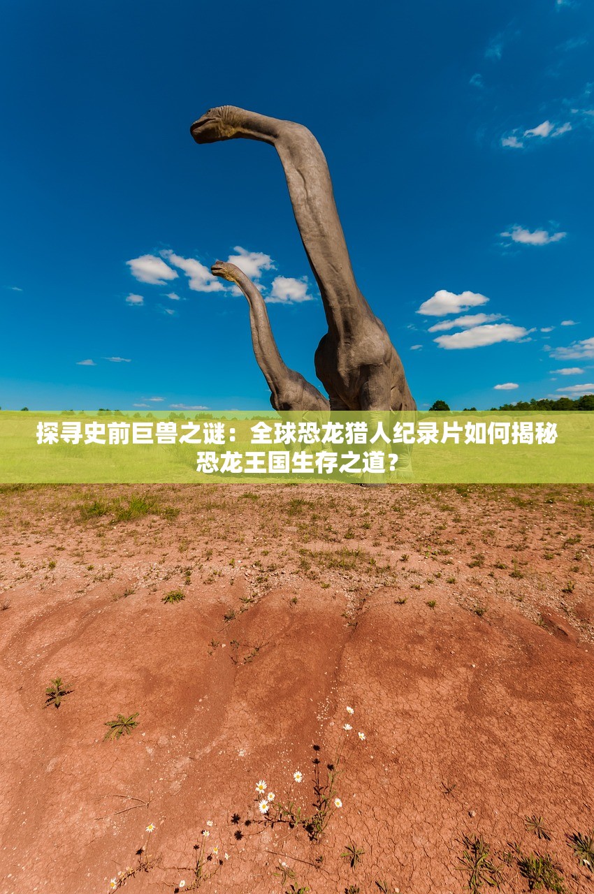 (233乐园下载免费无实名认证233乐园)探秘233乐园，娱乐新天地，揭秘其魅力与挑战