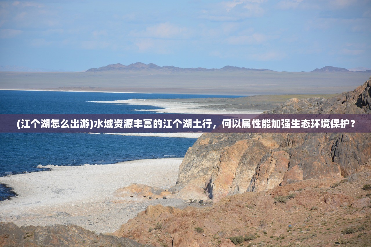(代号56游戏官网)代号56游戏深度解析，玩法揭秘、市场反响与未来展望