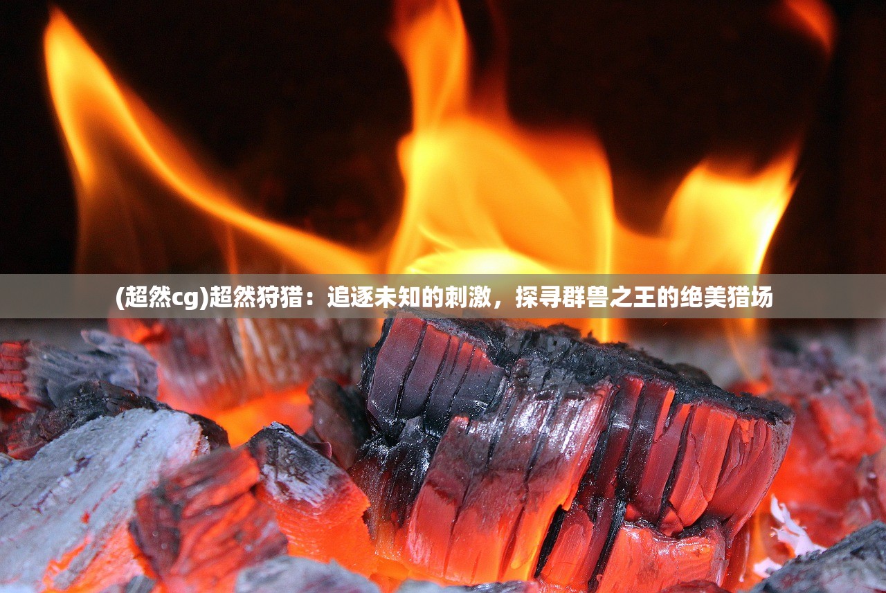 (朕的江山fan客户端下载)朕的江山应用宝版本解析，深度分析、常见问题解答及未来发展展望