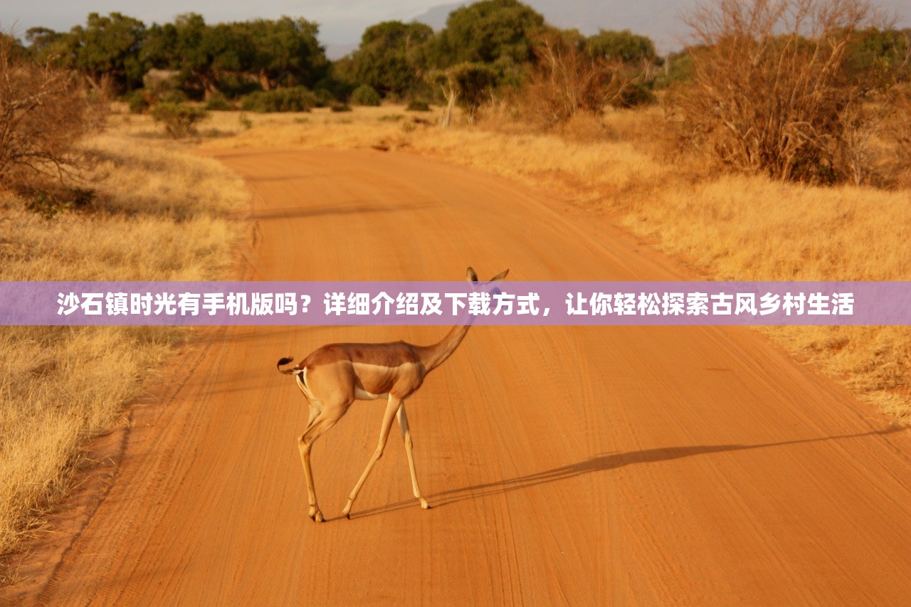 (社畜何处觅福报)社畜的福报111000，揭秘现代职场人的幸福密码与调适之道