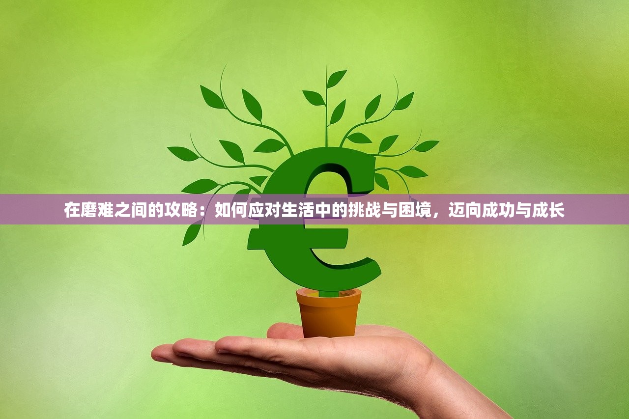 (军团团队的荣耀成就攻略)军团团队的荣耀，共创辉煌的历程与启示