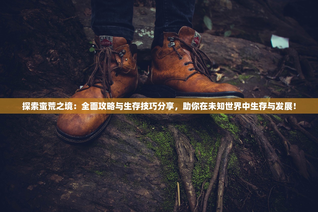 (军团团队的荣耀成就攻略)军团团队的荣耀，共创辉煌的历程与启示
