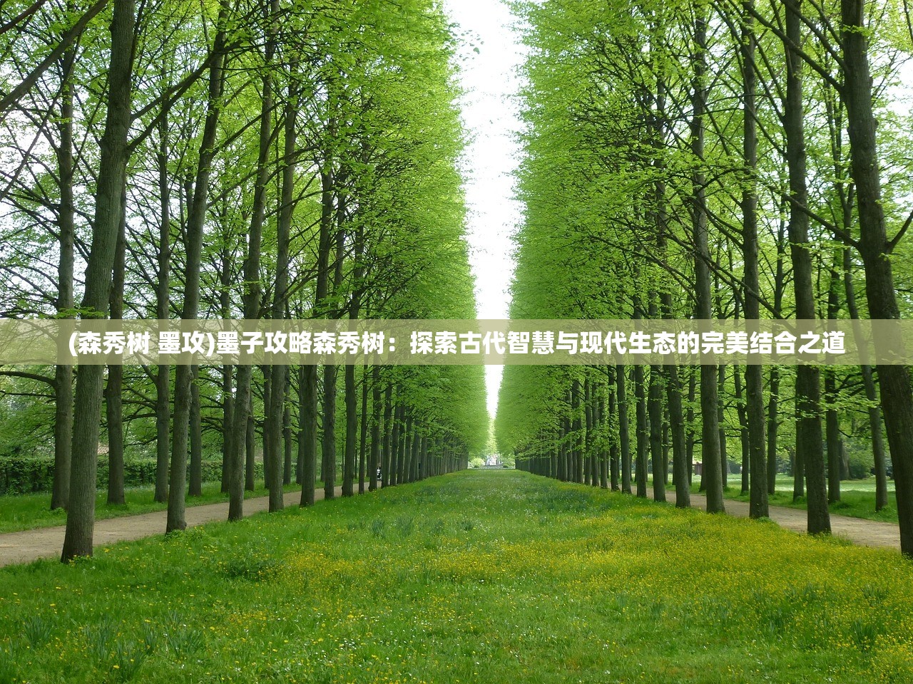 (凹凸世界手游梦境回廊)探索凹凸世界梦境回廊，揭秘平行宇宙的神秘面纱