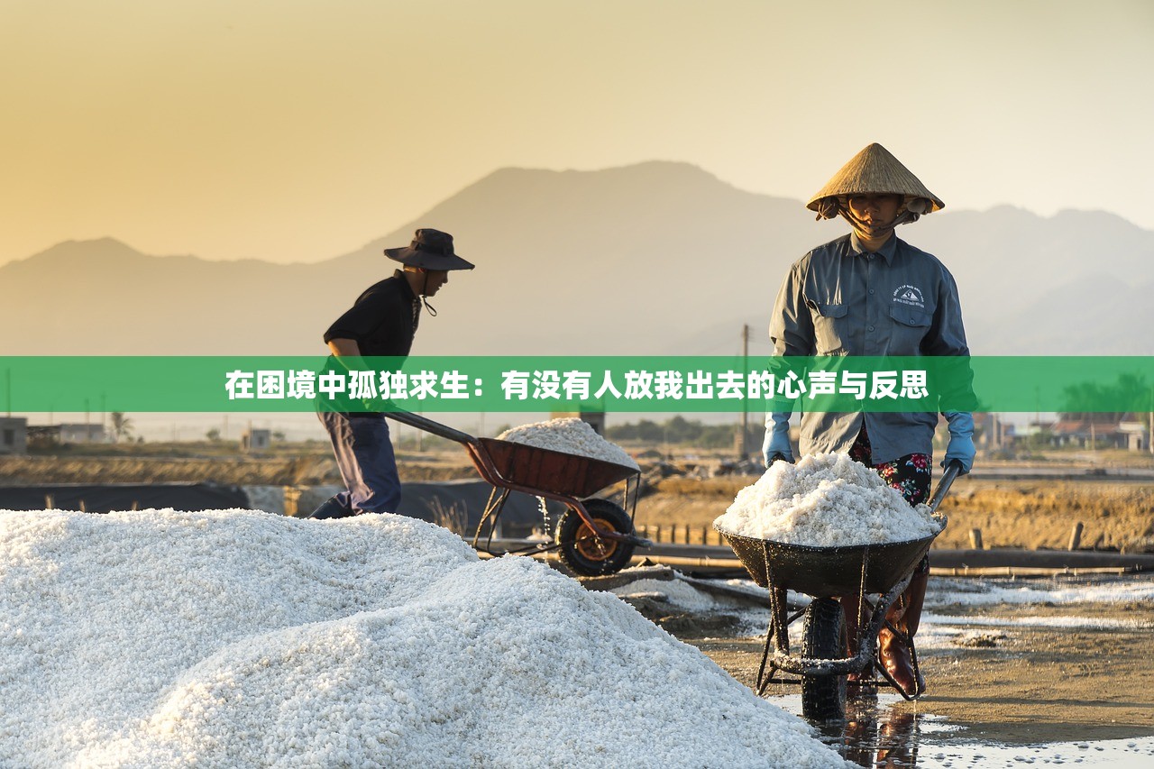 (龙与家园礼包码)2024年龙与家园邀请码大揭秘，最新攻略与常见问题解答一览无遗！