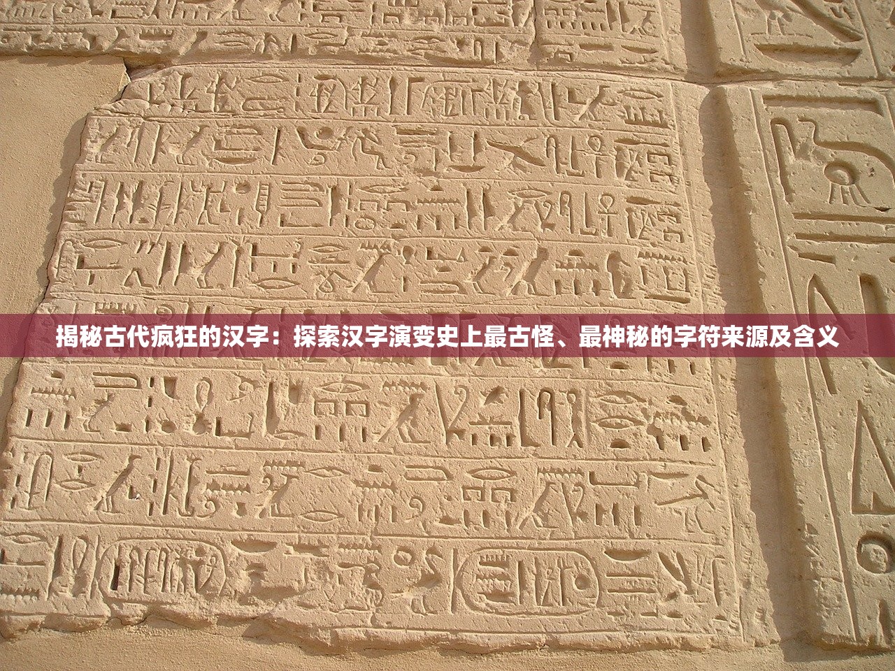 (伊甸这游戏存在过么)伊甸手游，停运真相大揭秘，玩家心声与未来展望
