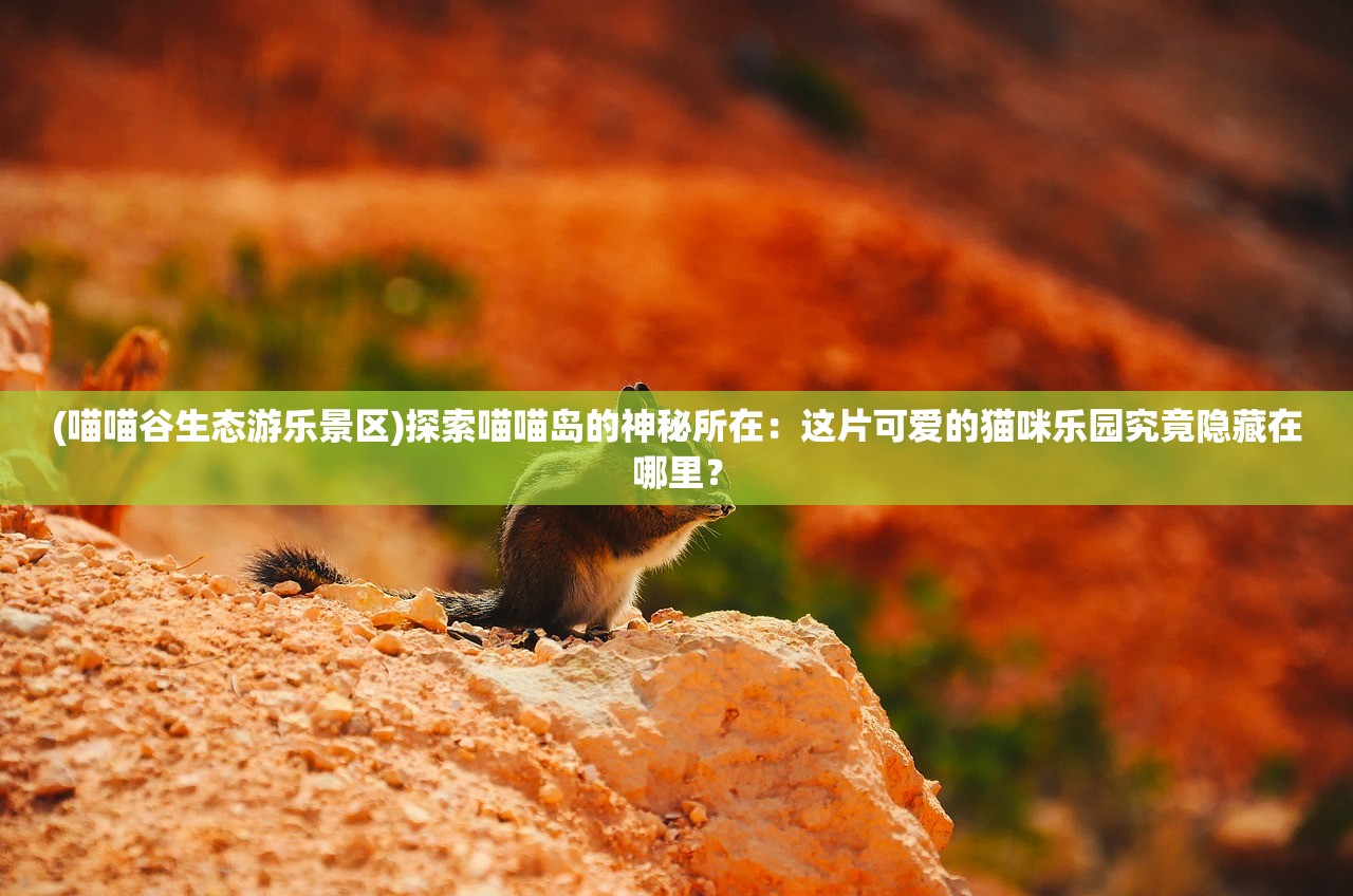(寻找天堂结局有几个)穿越尘世迷雾，探寻那遥远的寻找天堂结局之谜