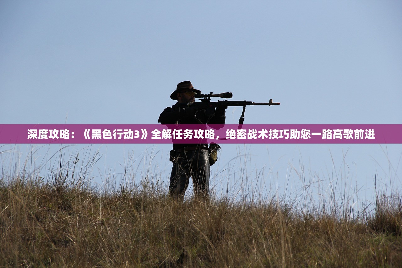 (心跳挑战日本综艺)心跳挑战，探索身体极限，揭秘挑战背后的科学奥秘