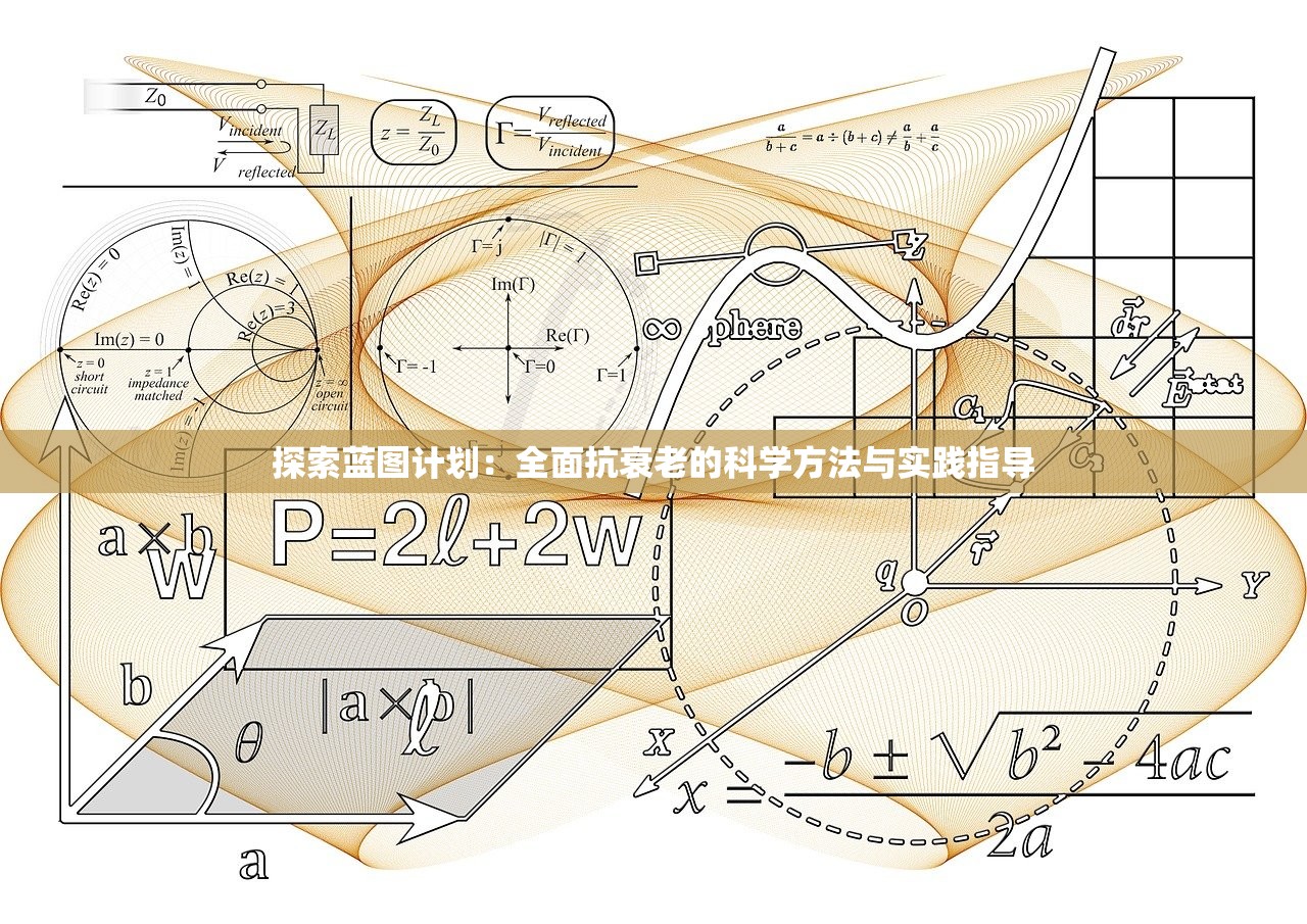(原始蛮荒(穿书))原始蛮荒，探寻人类文明的起源与演变