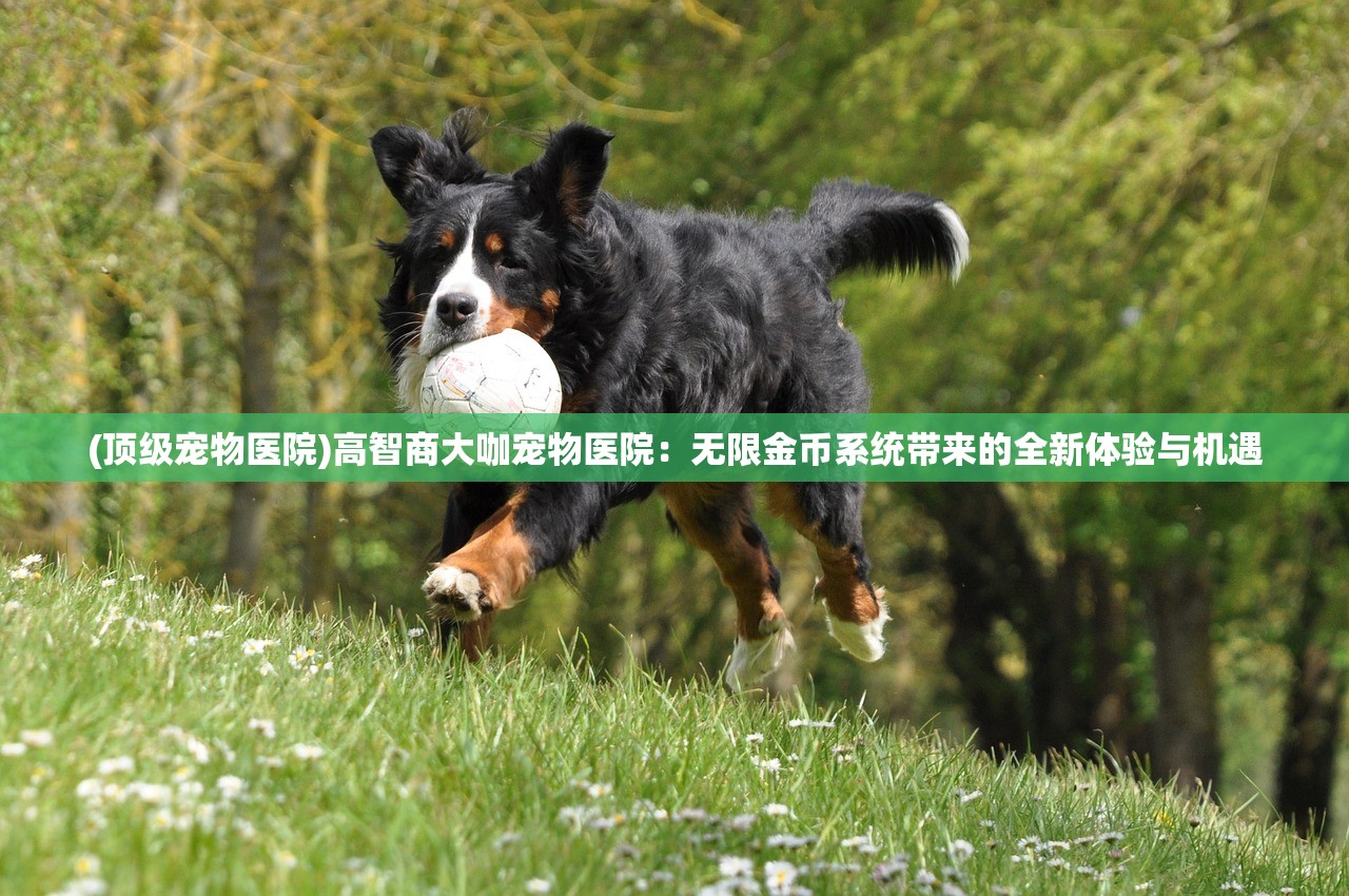 (重生之步步崛起笔趣阁)重生之步步崛起，穿越时空的逆袭之路，揭秘主角如何逆境翻盘