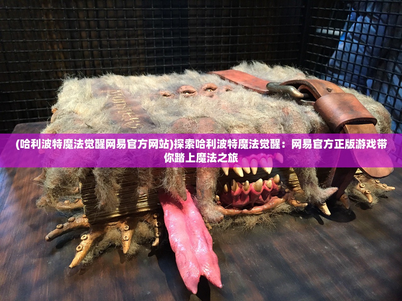(怨偶是什么意思网络用语)怨偶之谜，揭秘伴侣间的情感纠葛与共生现象