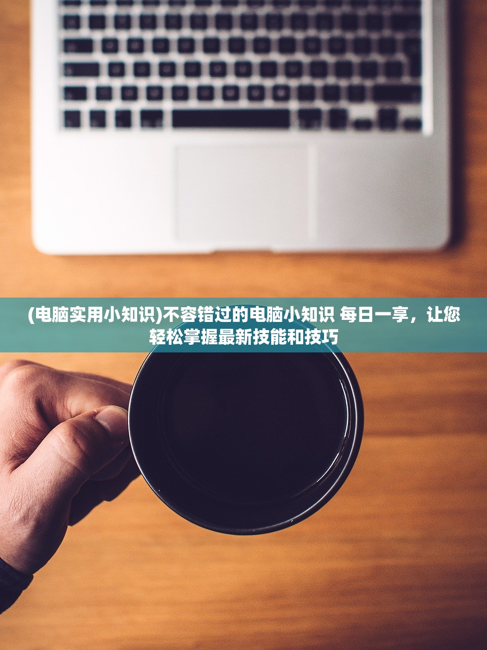 (探探猫大作战手游官网)探探猫大作战手游，趣味互动，探索无限可能的游戏体验