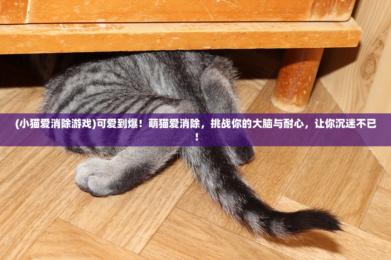 (战龙无双短剧孟娜)战龙无双短剧，热血江湖，传奇再续——深度解析这部网络短剧的魅力与争议