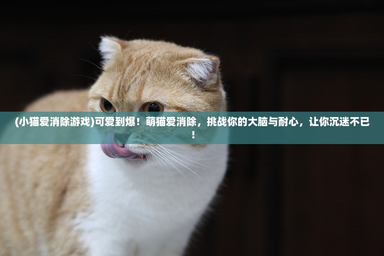 (上古卷轴刀锋战士破解版)上古卷轴中的刀锋战士，探寻泰姆瑞尔大陆的传奇剑士与战斗哲学