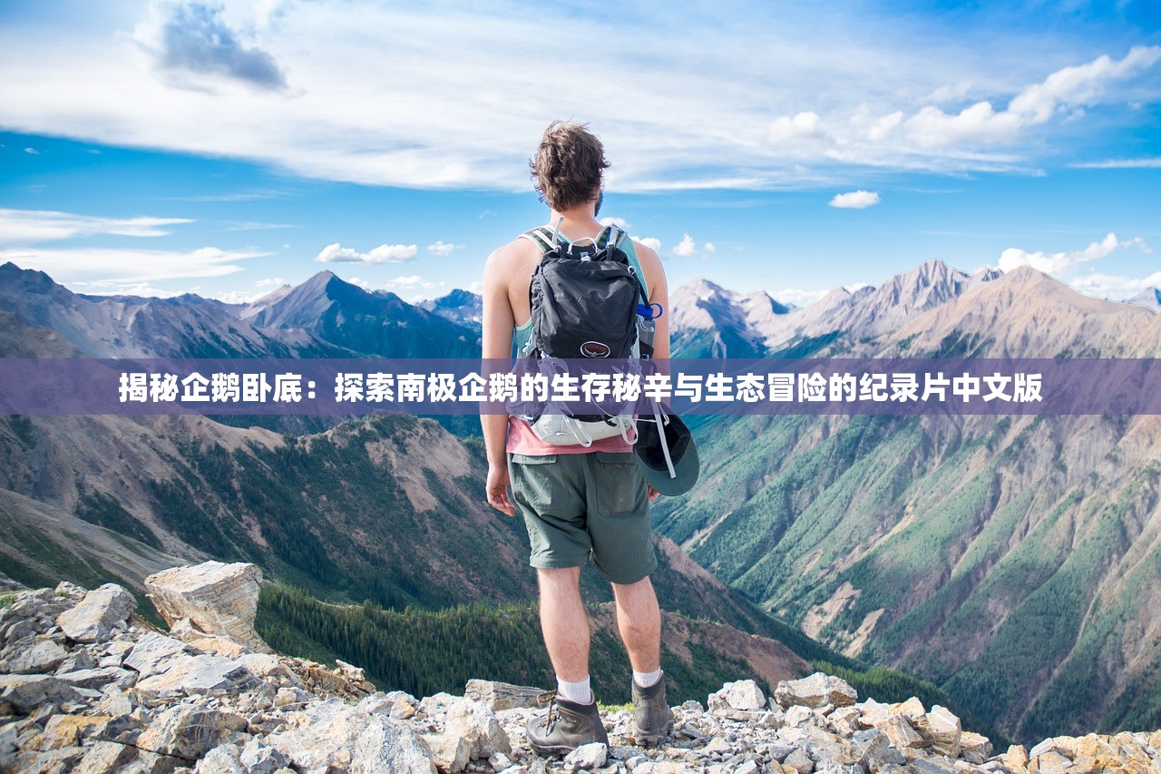 (极无双2攻略玩法)极无双2攻略，深度解析，助你轻松闯关，解锁无双境界！
