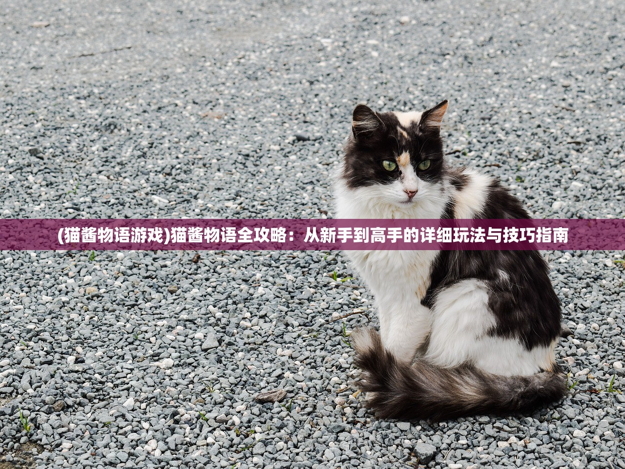 (火锅爱情经典语录)火锅爱情，一场舌尖上的浪漫邂逅