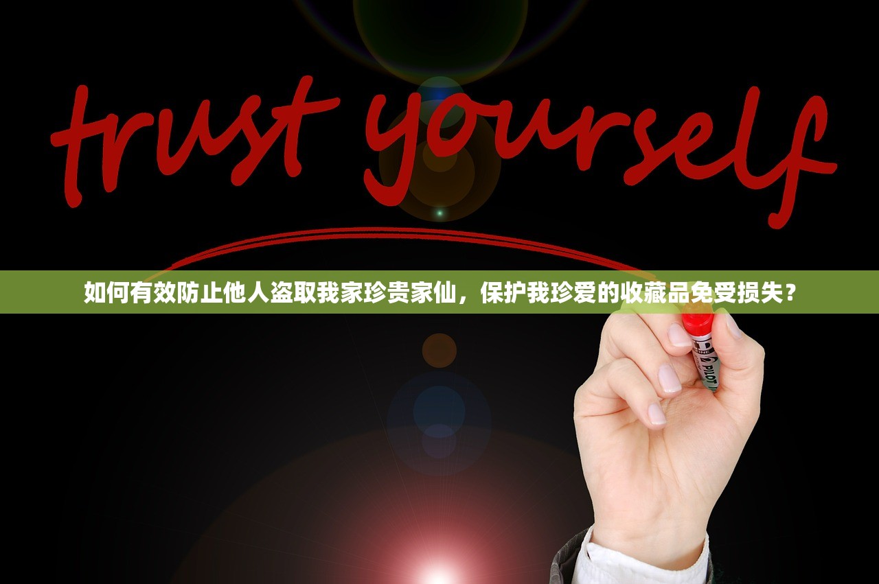 (第三方贴吧客户端4179是什么)深度解析第三方贴吧客户端4179，功能、优势与潜在问题探讨