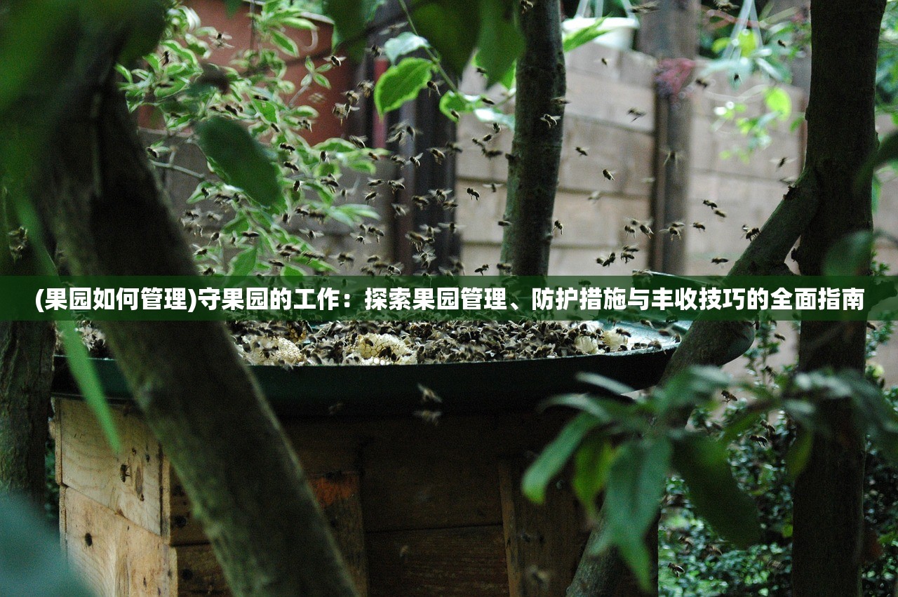 (我不是特工康少霆和杜怀璧结婚了吗)揭秘我不是特工，康少霆与杜怀璧的神秘纠葛与真相探寻