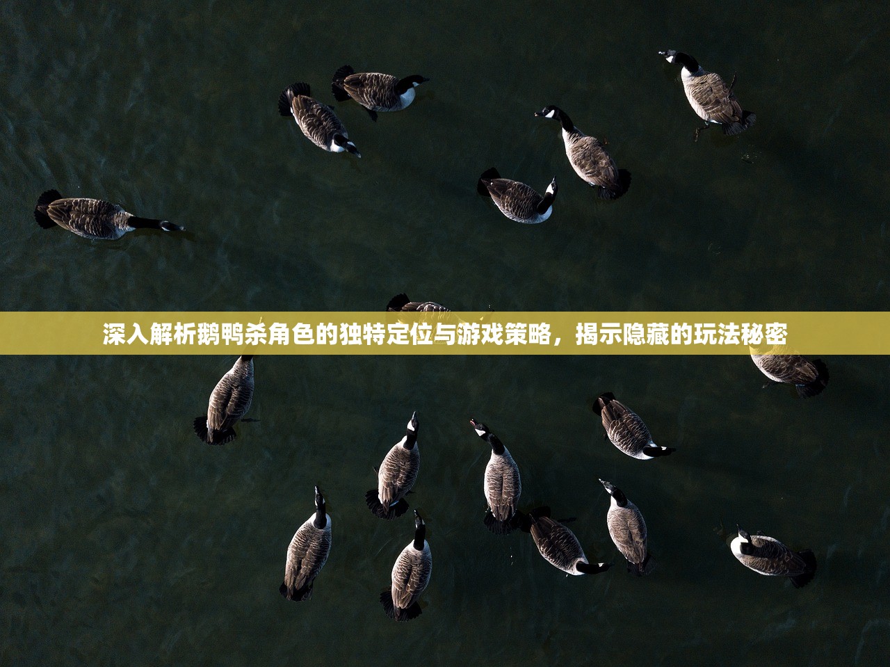 (决战魔石怎么获得)决战仙魔，一场虚拟与现实交织的仙侠冒险之旅