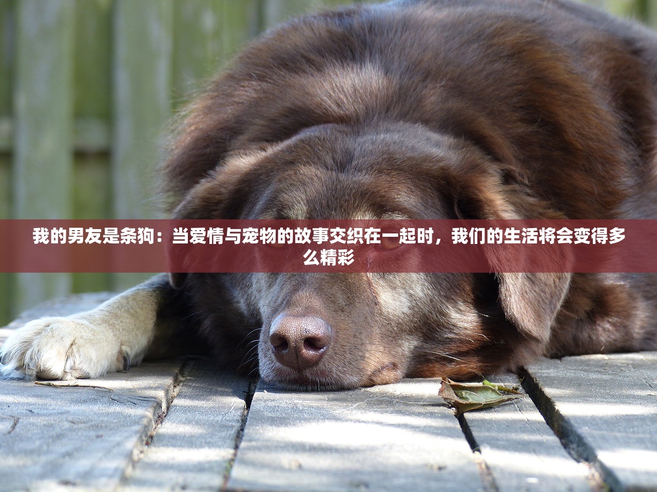 (代号探戈第五关攻略)代号探戈第五关，揭秘神秘关卡背后的故事与挑战