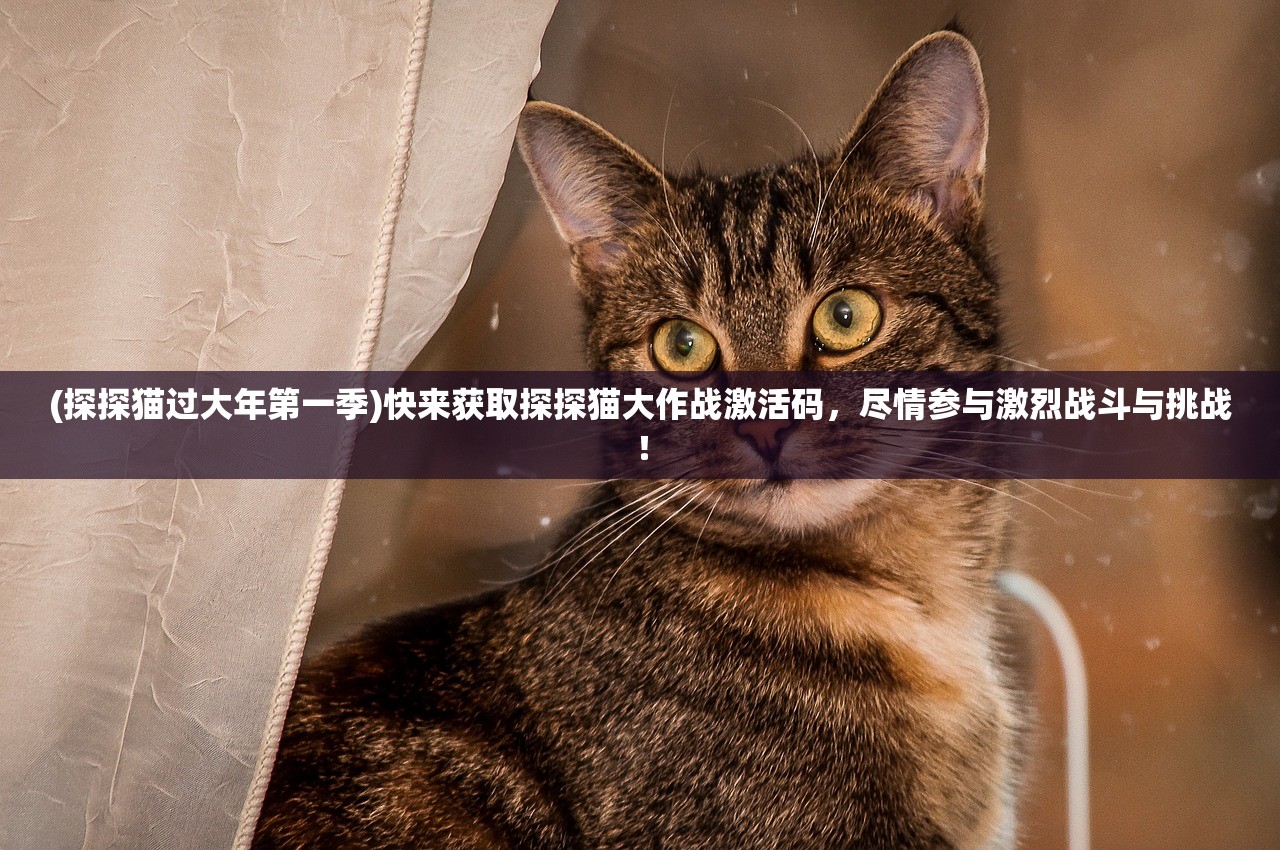 (乾坤三国手机版)乾坤三国，穿越时空的奇幻之旅——杉杉来了中的奇幻元素与乾坤三国文化碰撞解析