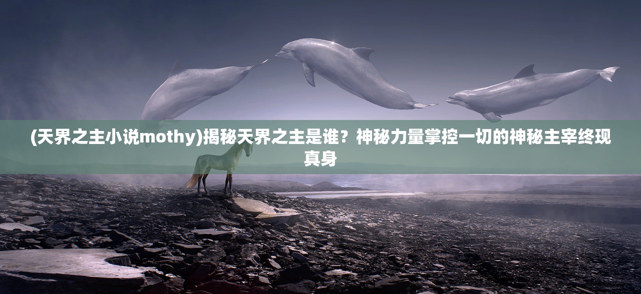 (乾坤三国手机版)乾坤三国，穿越时空的奇幻之旅——杉杉来了中的奇幻元素与乾坤三国文化碰撞解析