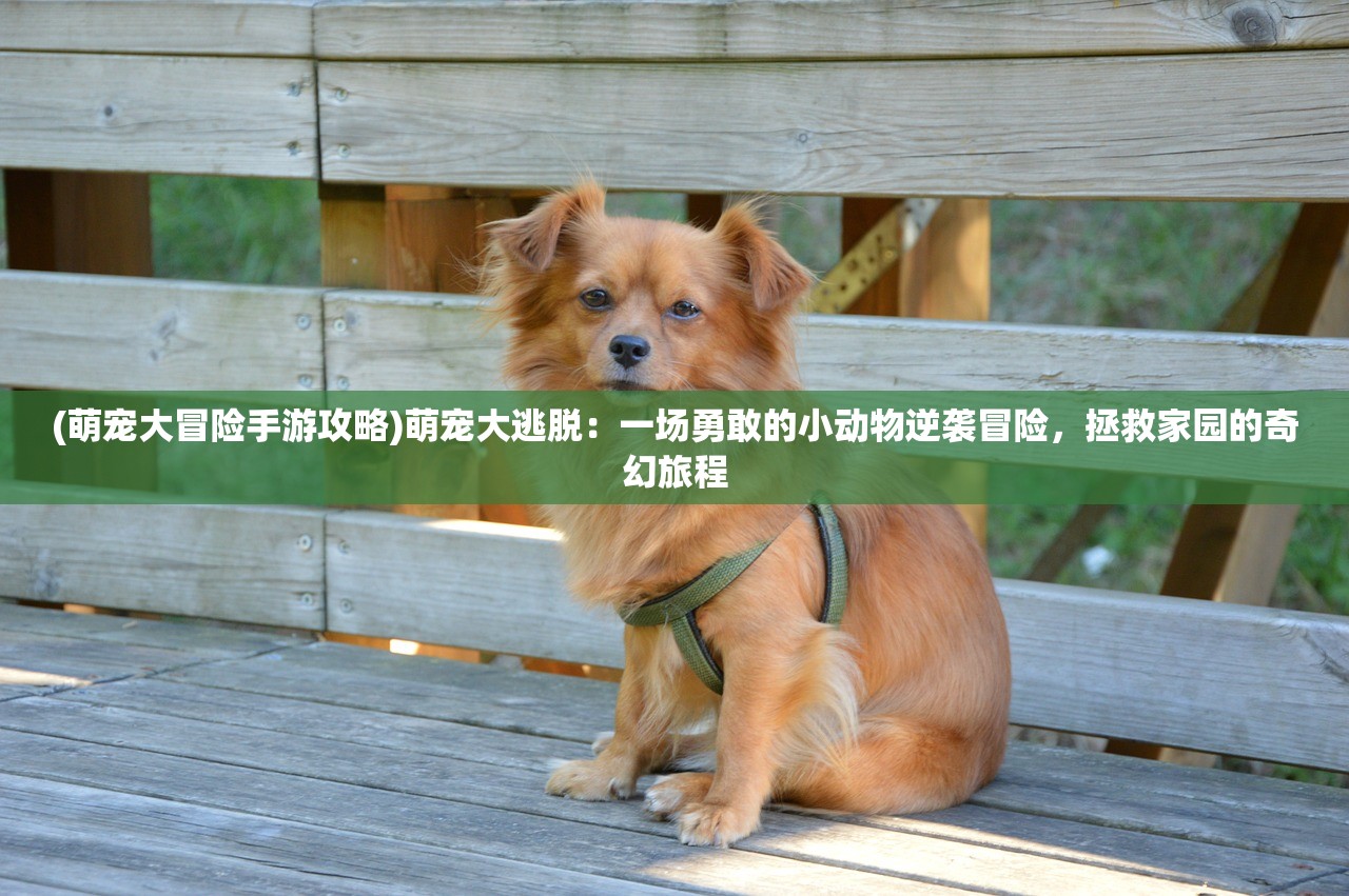 (三国跑跑手游)跑跑三国，探寻这款热门手游的奥秘与魅力