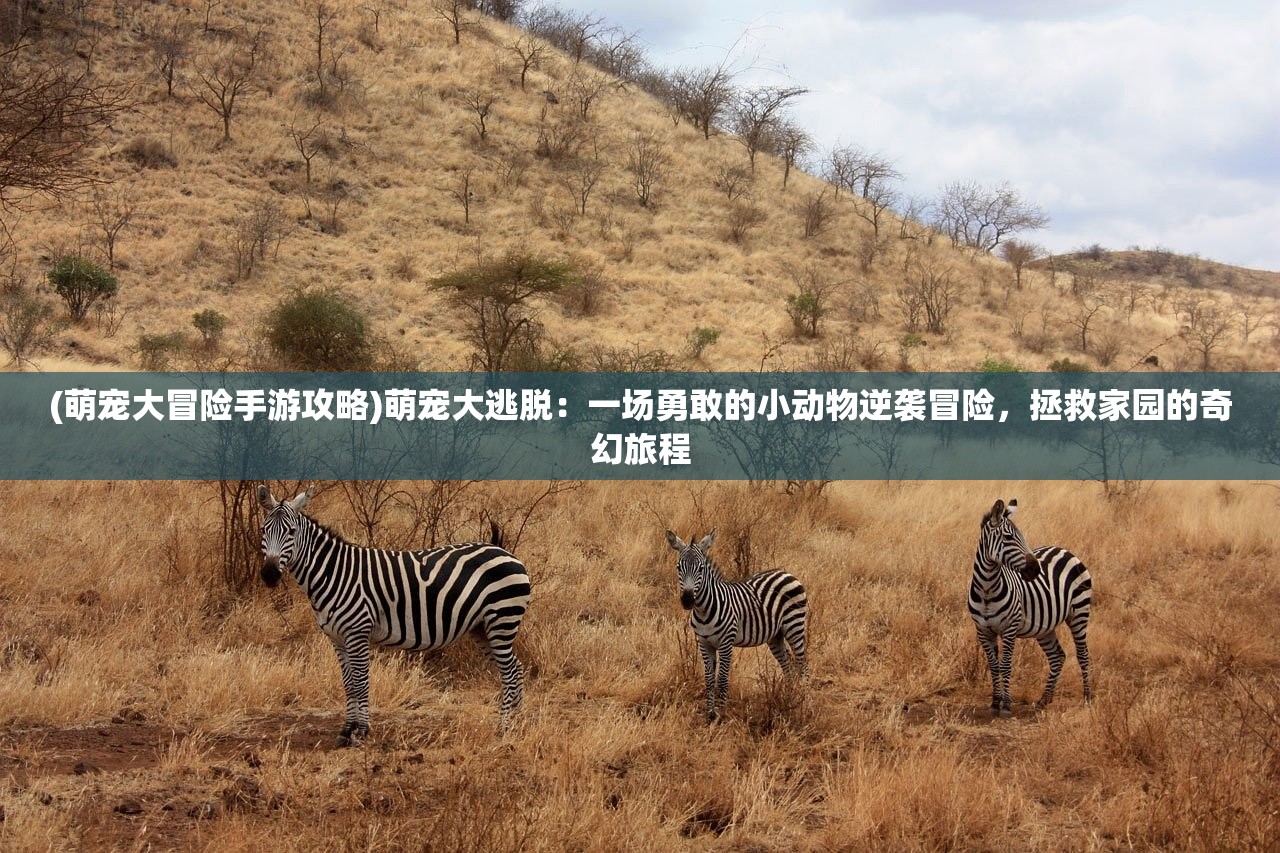 (神灭论范缜)灭神论，揭秘宗教信仰消亡的哲学思考与未来展望