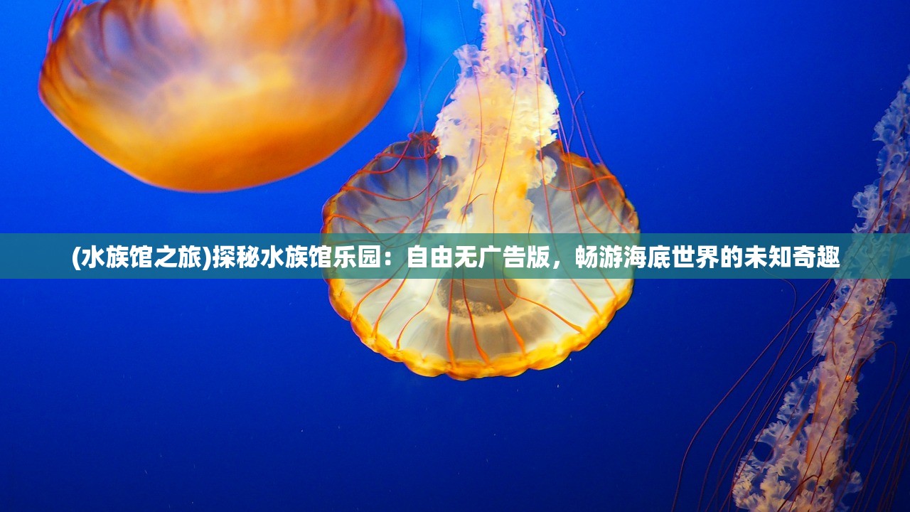 (未知记录手游怎么关闭)探索未知领域，揭秘未知记录手游的独特魅力与挑战