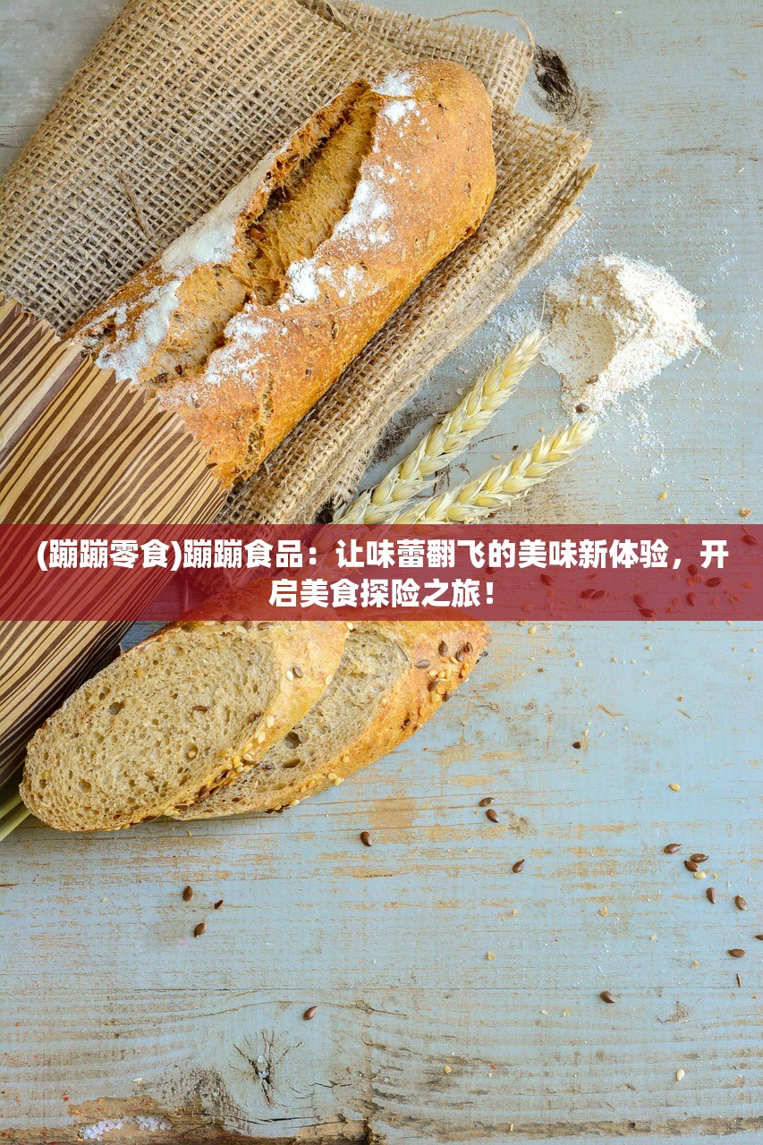 (喵喵爱冒险全部版本大全)喵喵爱冒险，穿越时空的奇幻之旅——全面解析喵喵爱冒险系列所有版本的魅力与奥秘