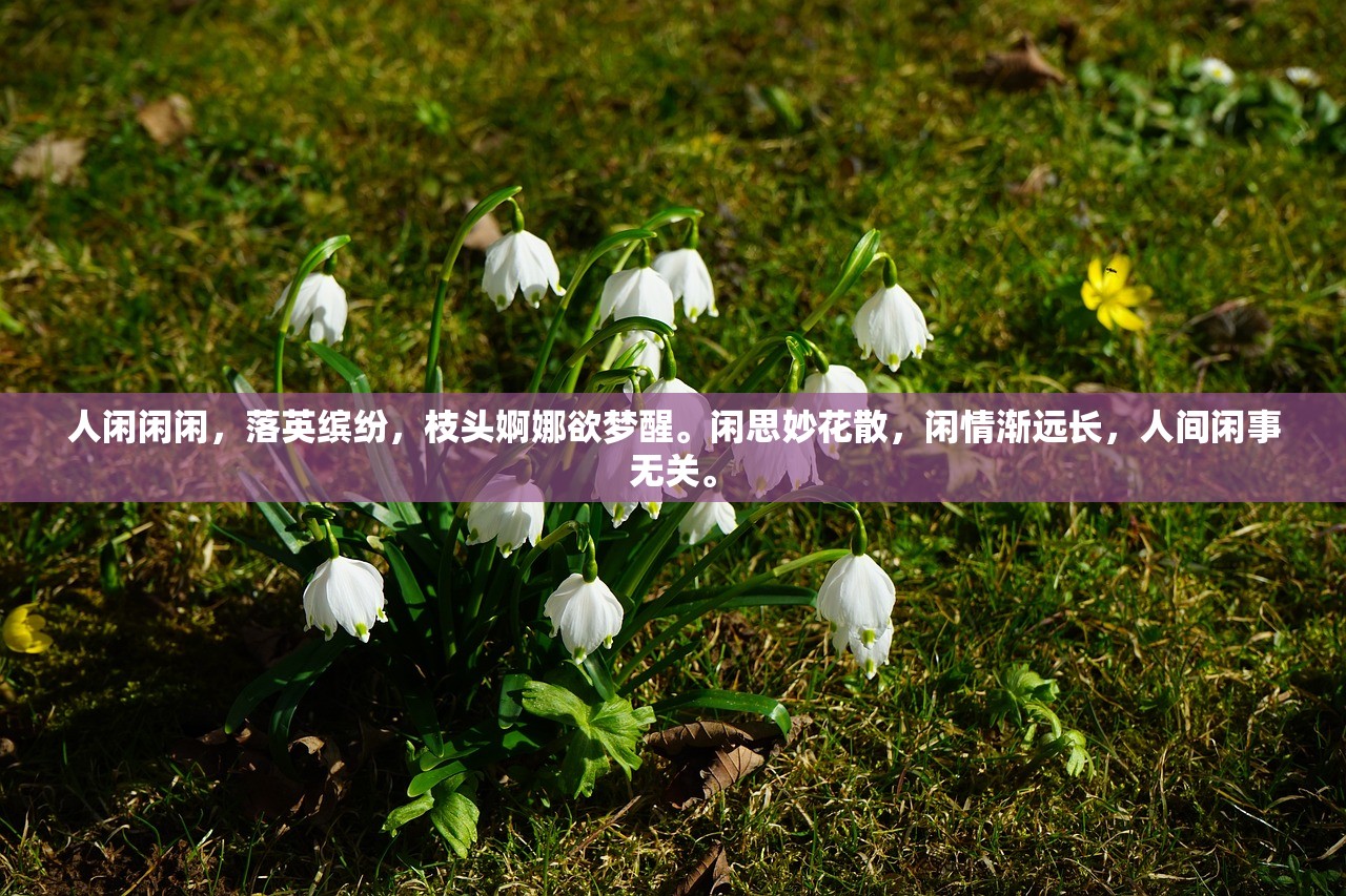 (小长安是谁演的)长安小时光，揭秘打造这款手游的幕后公司及其市场影响力