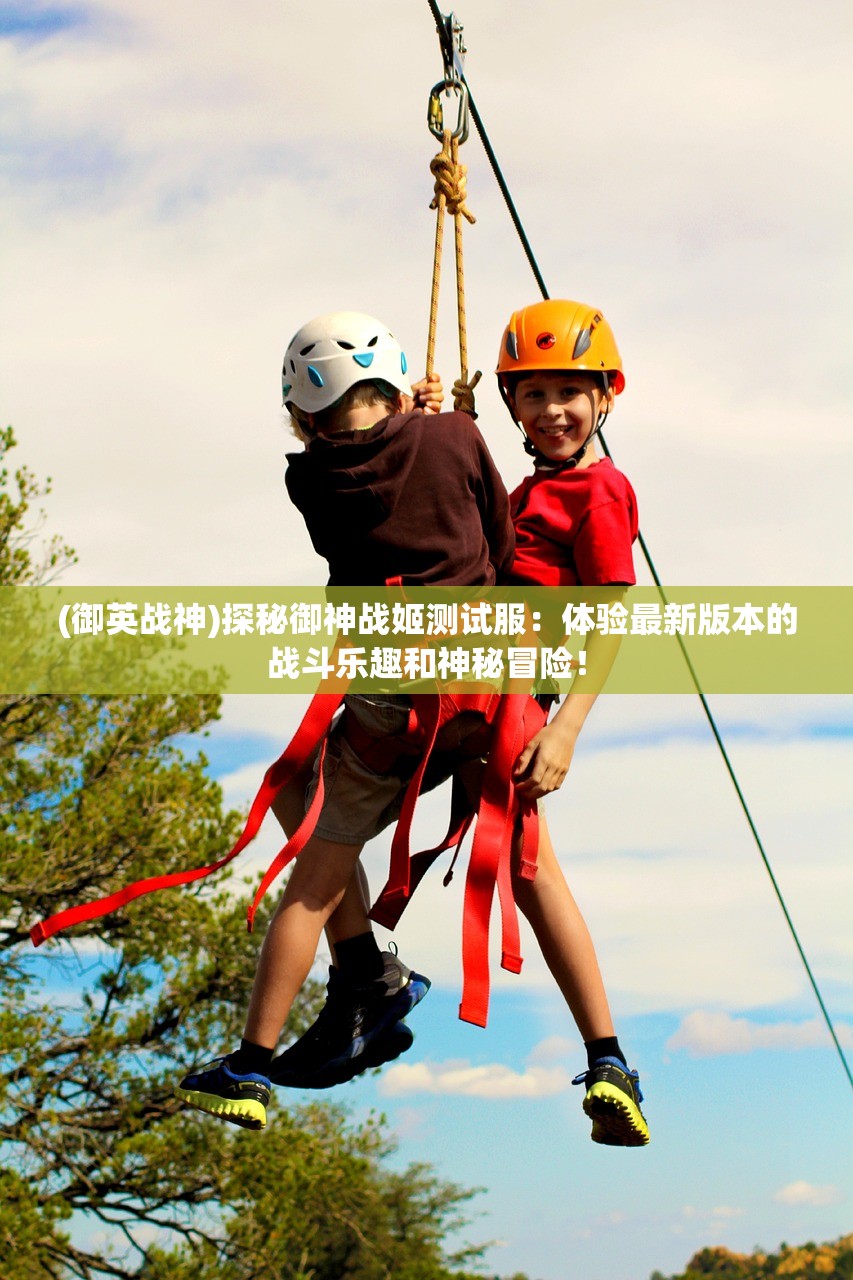 (绝世仙王最高等级是多少)绝世仙王贵族等级揭秘，探寻仙界至高无上的价格体系与价值内涵