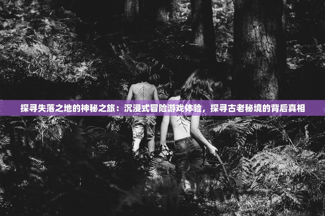 (三国群英风云录 小说)群英风华录，一部描绘古代才子佳人风采的史诗巨著——深度评价与多元解读