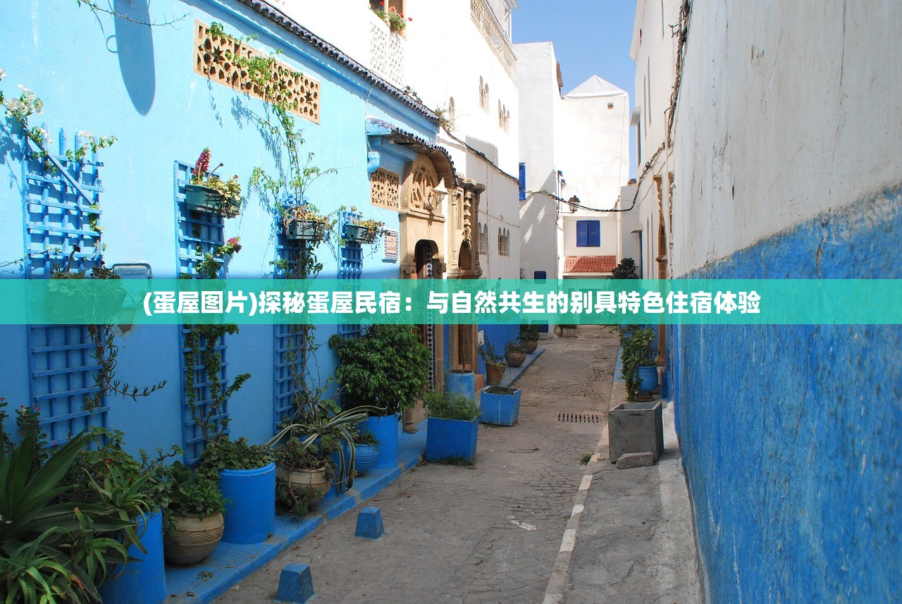 (侠义水浒传手机版官网)侠义水浒传手机版，经典IP的数字传承与创新探索