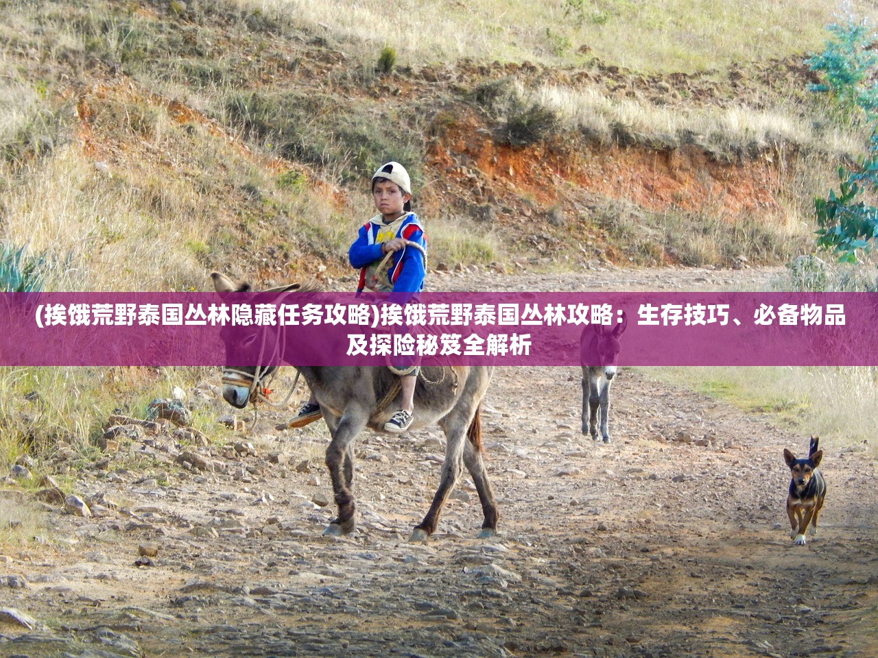 (gba约束之地cg收集)深度解析GBA约束之地攻略，探索神秘世界的生存指南与常见问题解答