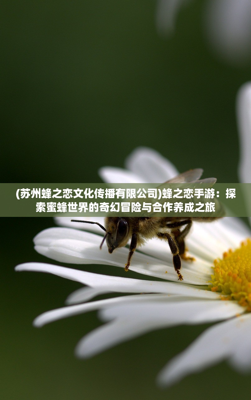 (代号鸢)代号Godlin，揭秘神秘科技背后的力量与挑战